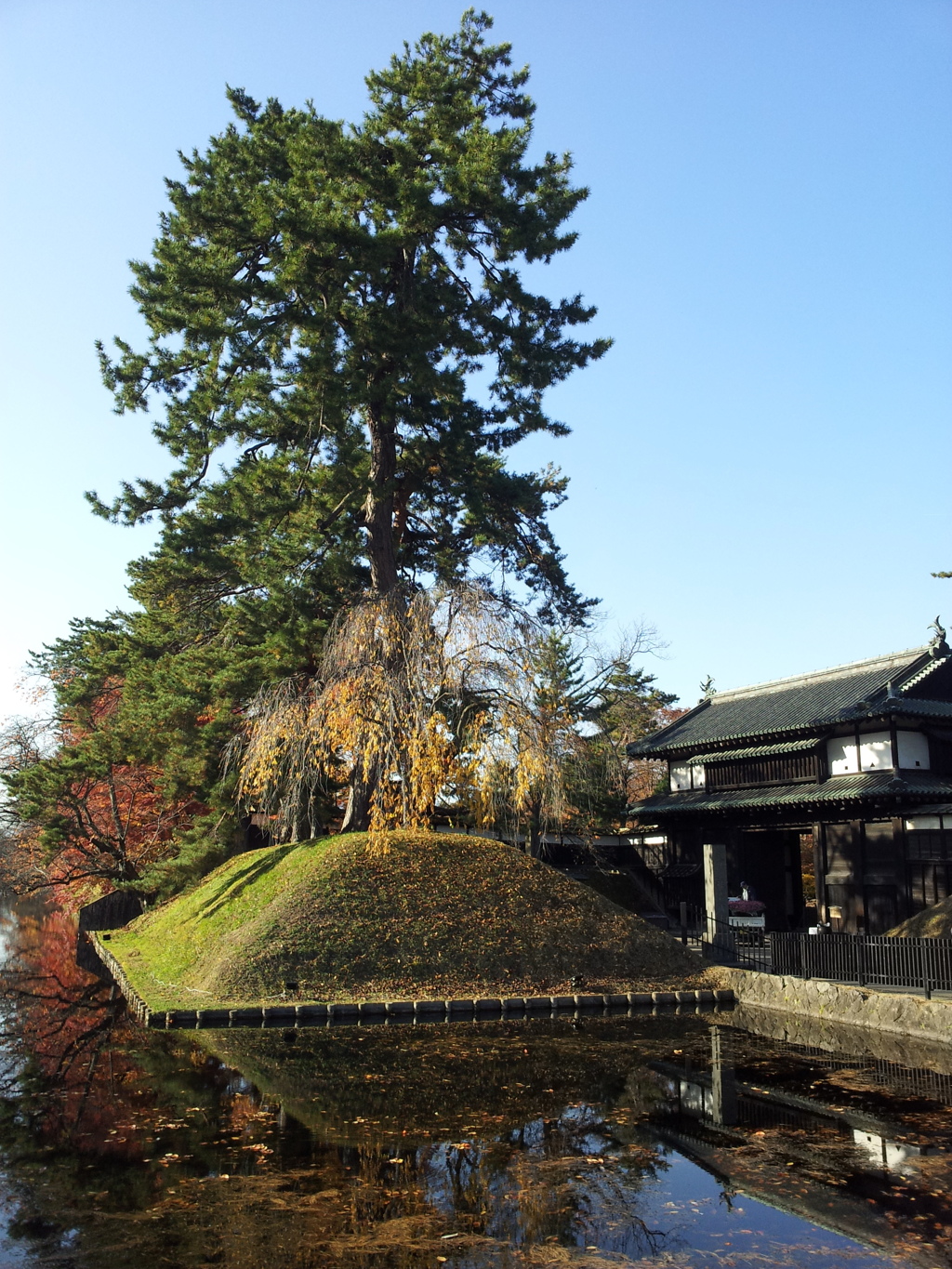 2016/11/14_弘前公園 外濠と追手門