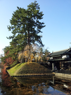 2016/11/14_弘前公園 外濠と追手門