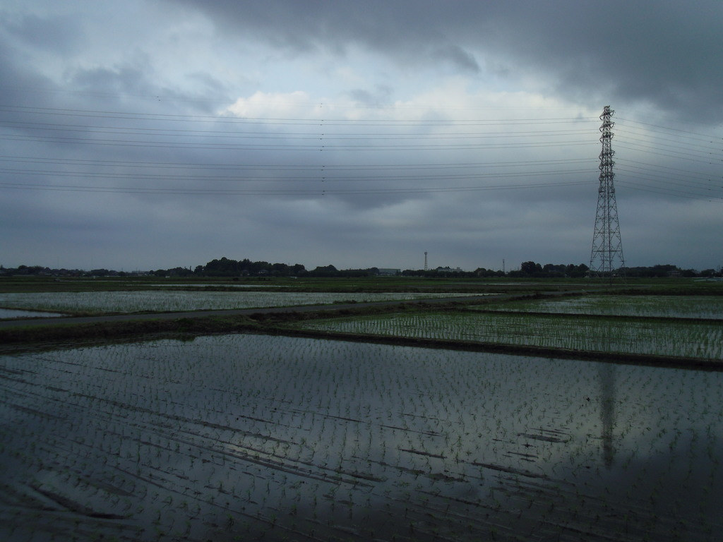2017/05/27_水田の曇天