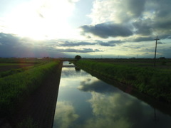 2017/05/14_ 野通川に雲
