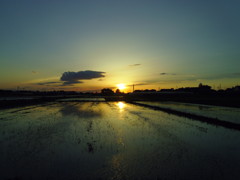 2017/06/03_水田の夕暮れ