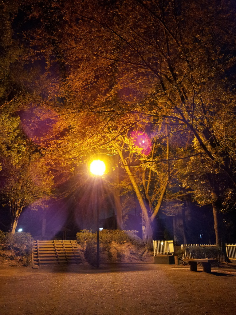 2014/04/12_氷川児童公園の夜桜