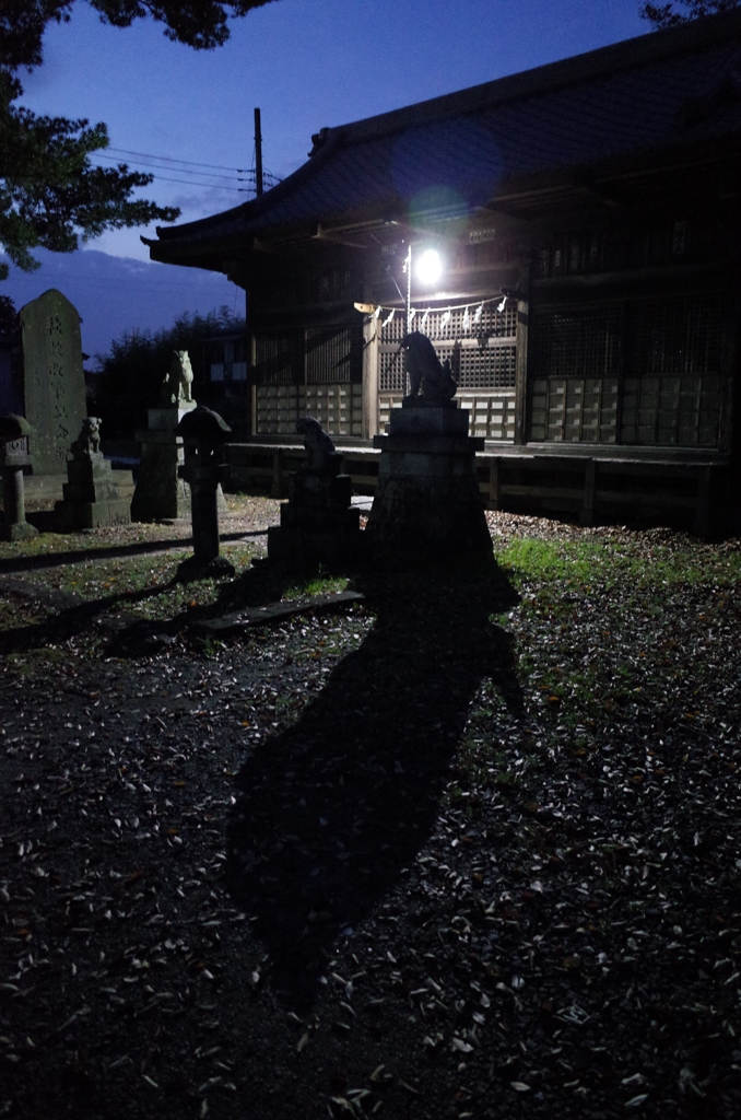 2014/11/23_夕暮れの氷川神社