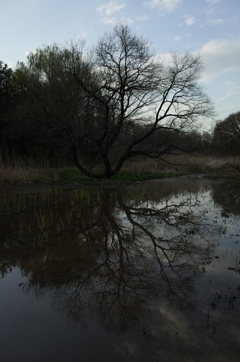 2016/03/26_北本自然観察公園