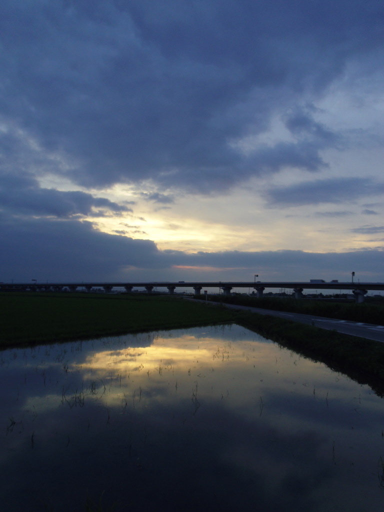 2016/07/23_水田の夕暮れ