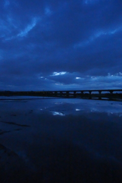 2015/06/21_水田の夕暮れ
