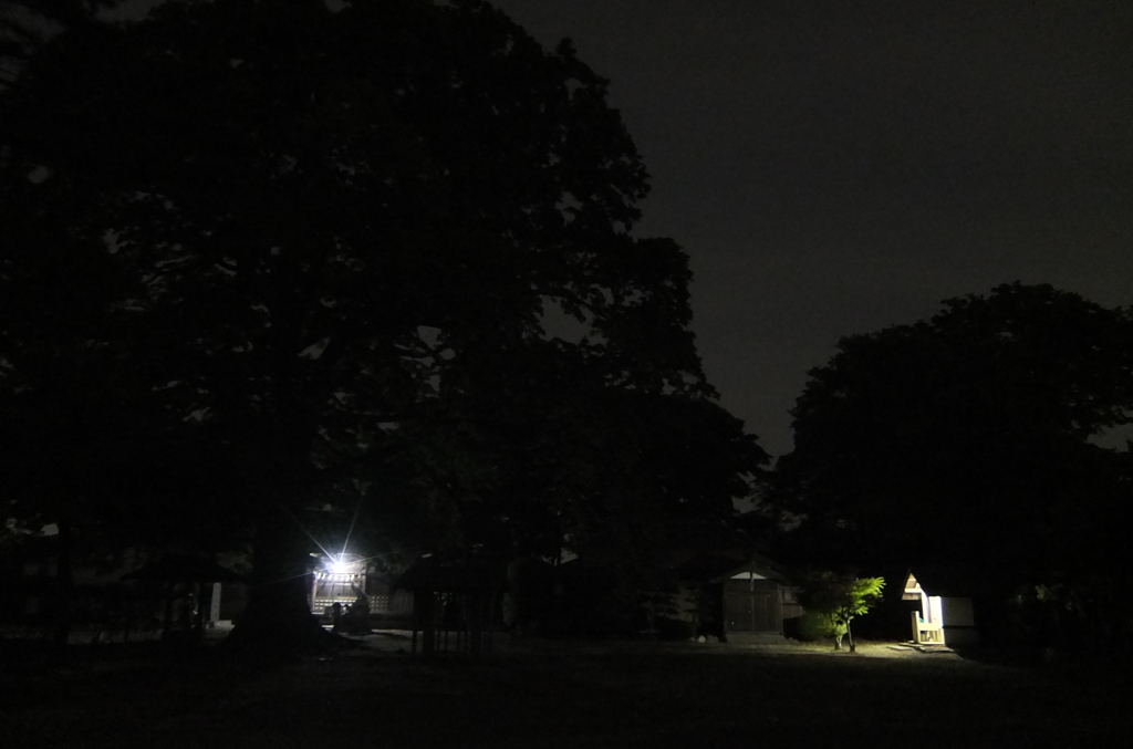 2014/05/06_夜の氷川神社とトイレ
