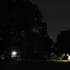 2014/05/06_夜の氷川神社とトイレ