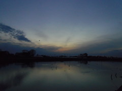 2017/02/26_溜め池の夕暮れ