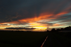 2016/08/21_夕暮れ