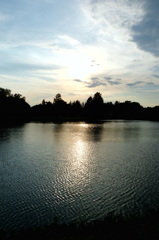 2014/06/15_夕暮れのしのぶ池