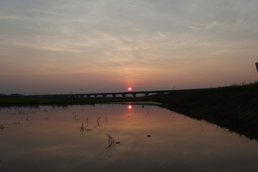 2015/07/12_水田の夕暮れ