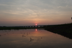 2015/07/12_水田の夕暮れ