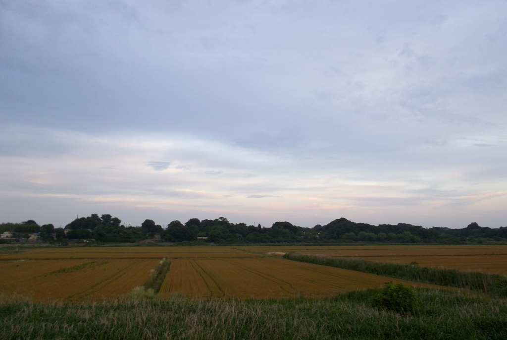 2015/05/30_荒川河川敷