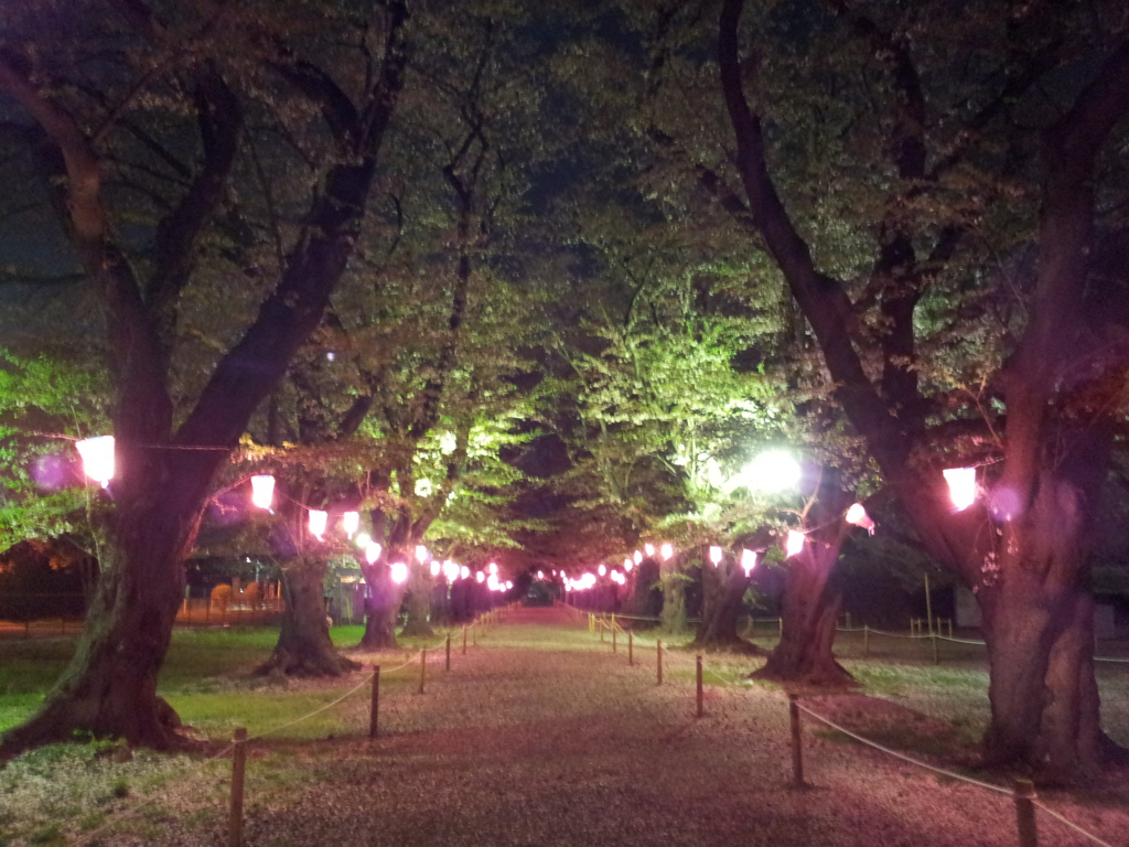 2016/04/10_小室無線山の夜桜