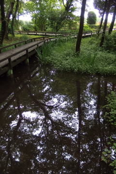 2015/07/05_伊奈町制施行記念公園