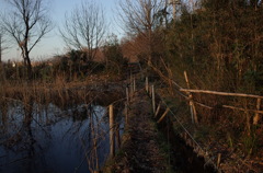 2015/02/11_ホタルの里