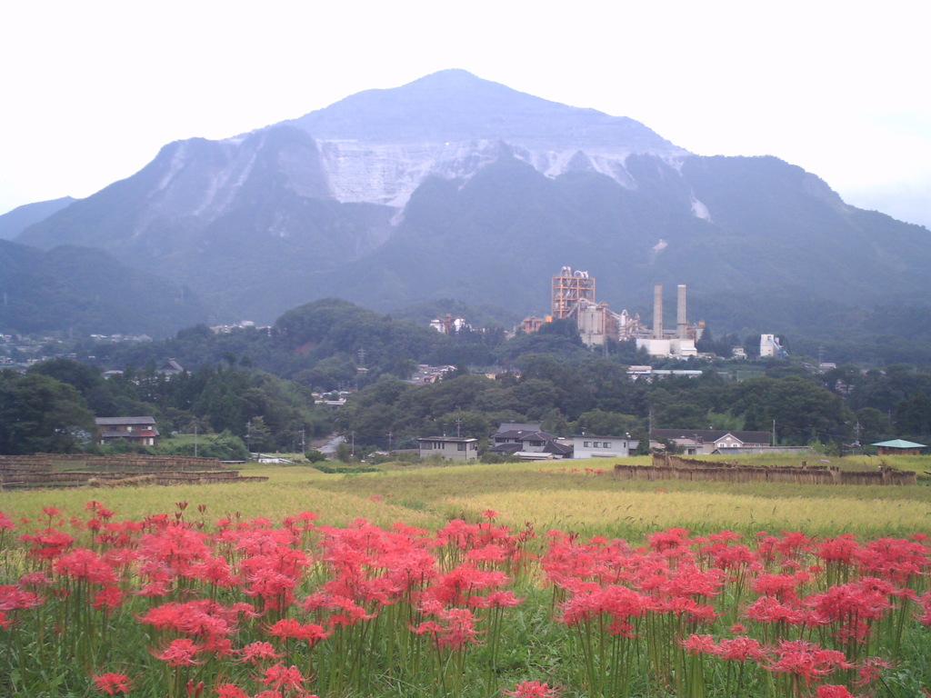 2015/09/21_寺坂棚田の彼岸花と武甲山