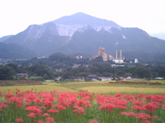 2015/09/21_寺坂棚田の彼岸花と武甲山
