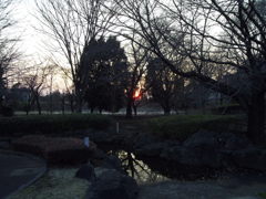 2016/02/27_花の丘農林公苑の夕暮れ