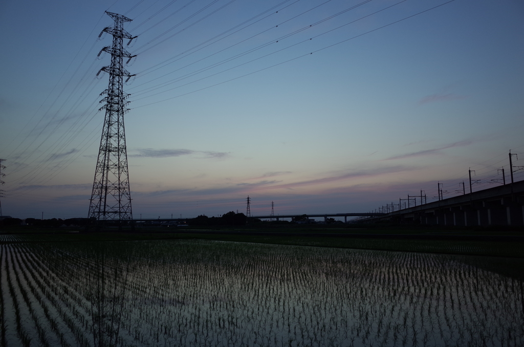 2016/06/18_水田の夕暮れ