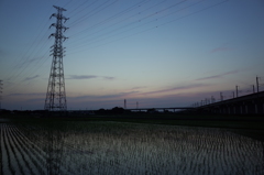 2016/06/18_水田の夕暮れ