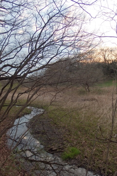 2016/03/26_北本自然観察公園