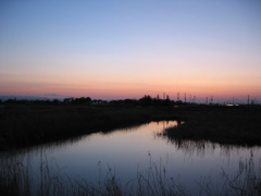 2017/04/15_溜め池の夕暮れ