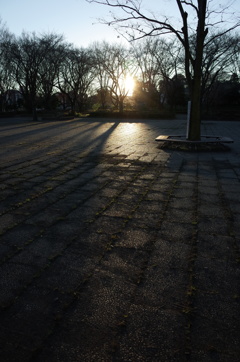 2015/12/19_城山公園の夕暮れ