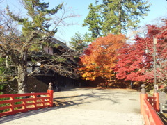 2016/11/14_弘前公園 杉の大橋と南内門