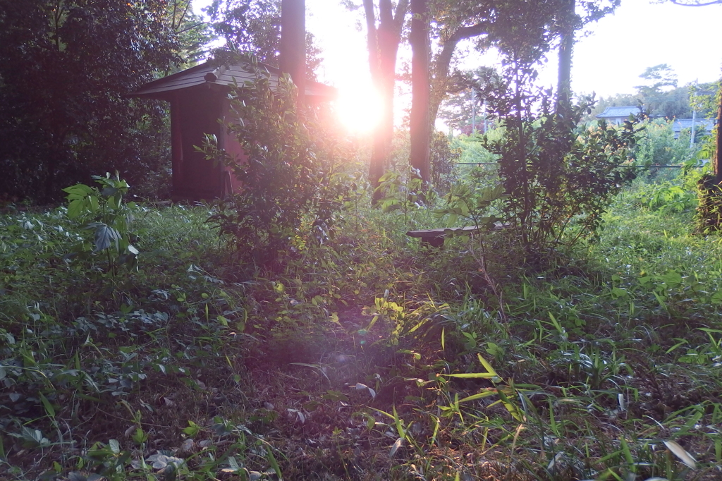 2015/05/10_夕暮れの辯才天堂