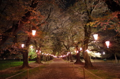 2016/04/10_小室無線山の夜桜（没カット）