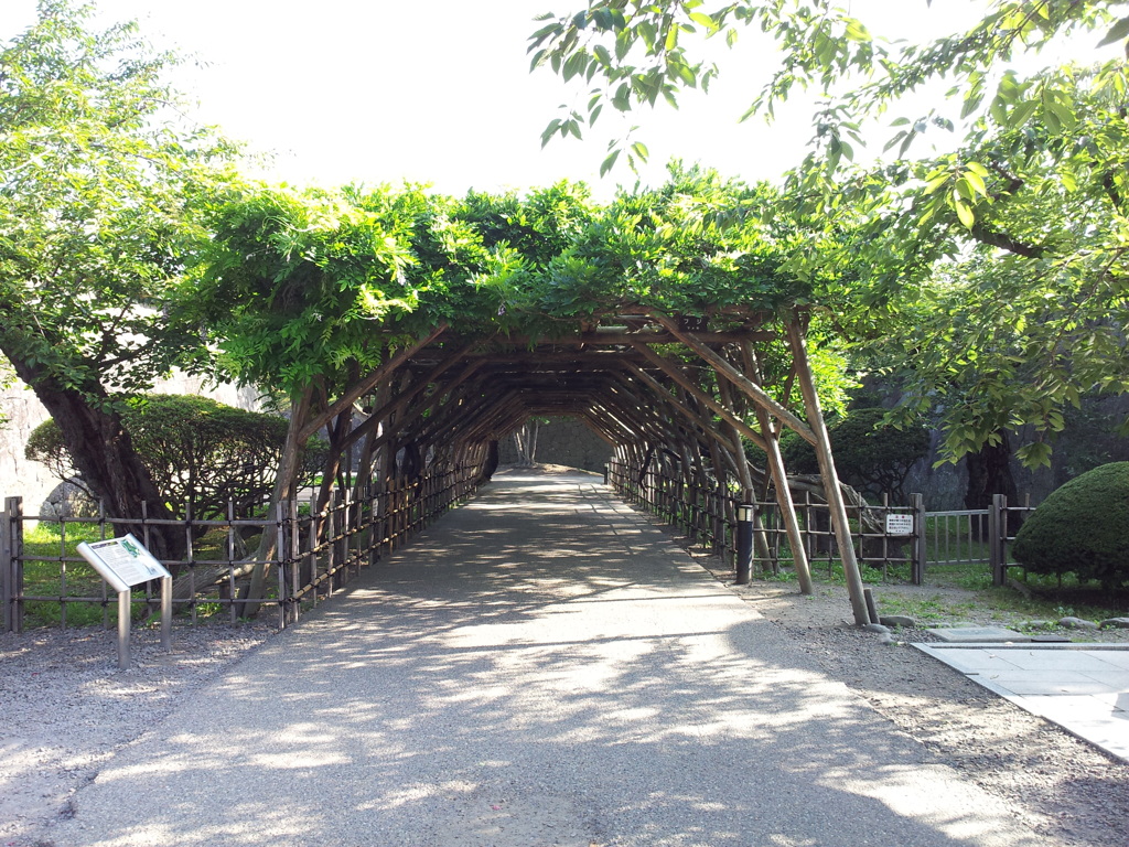 2016/08/13_五稜郭公園