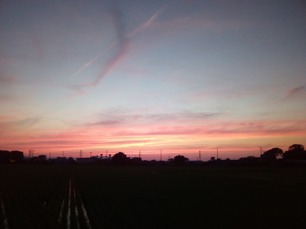 2018/06/24_水田の夕暮れ