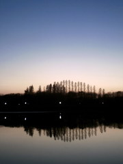 2015/12/20_伊佐沼の夕暮れ