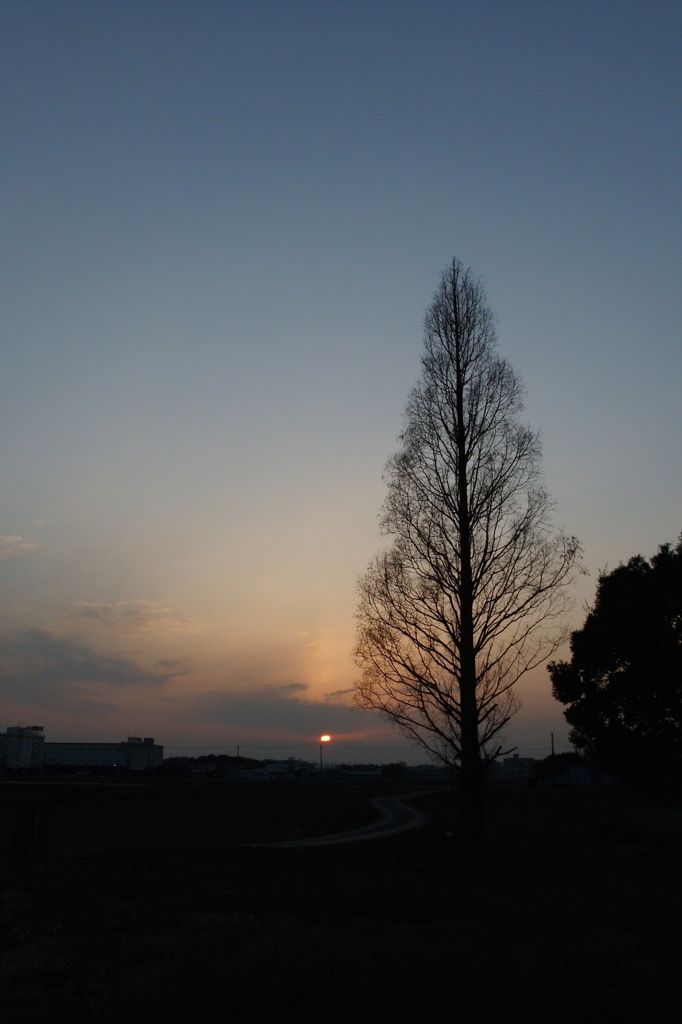 2015/03/21_夕暮れ