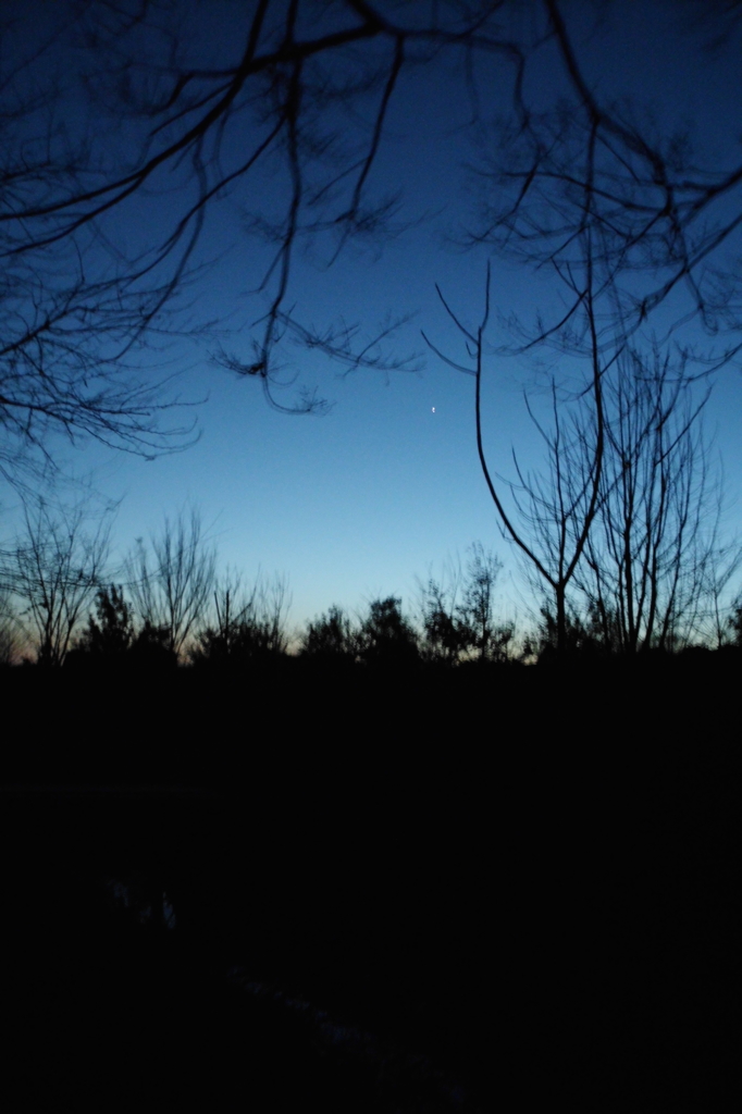 2015/02/15_夕暮れの秋葉の森総合公園