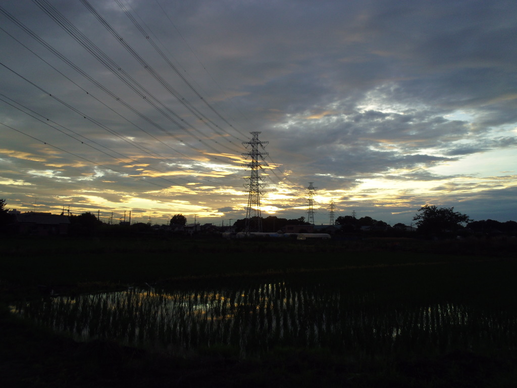 2017/07/01_水田の夕暮れ