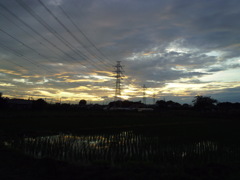 2017/07/01_水田の夕暮れ