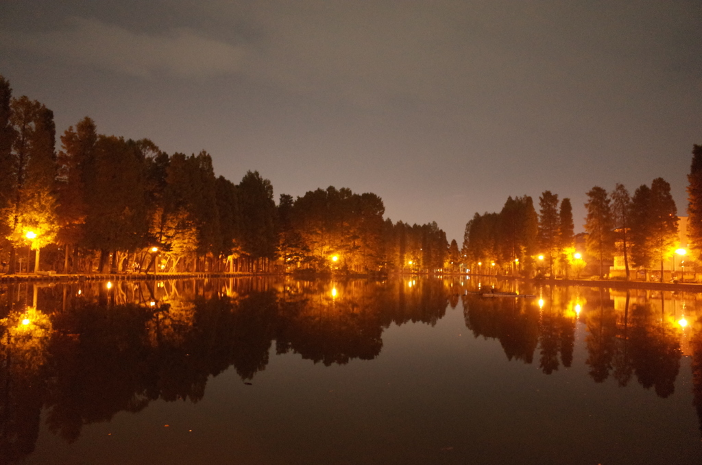 2014/11/02_夜の別所沼公園