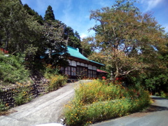 2018/09/17_正善寺のキバナコスモスと彼岸花と百日紅