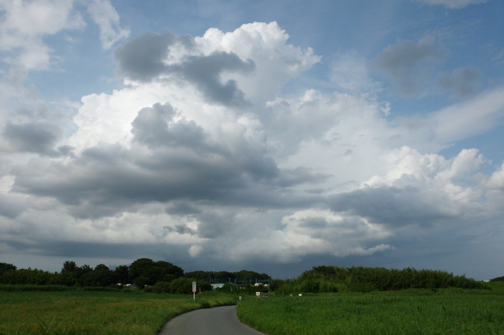 2014/07/20_夏空