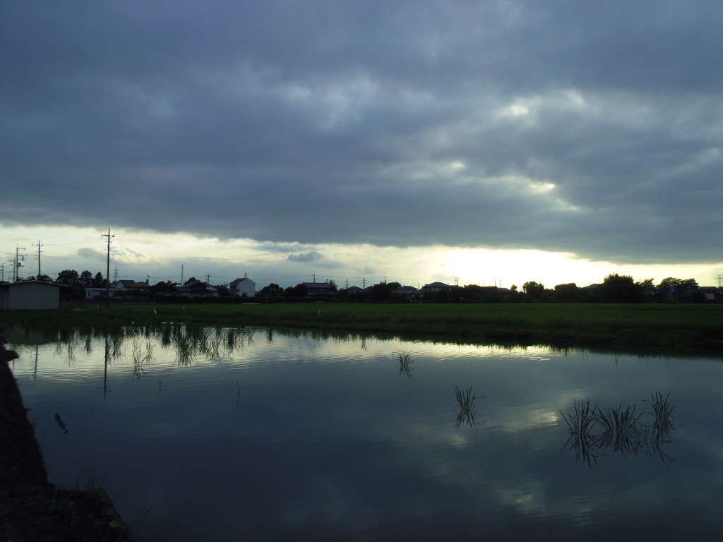 2017/08/12_水田の曇天と晴れ間