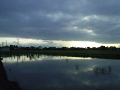 2017/08/12_水田の曇天と晴れ間