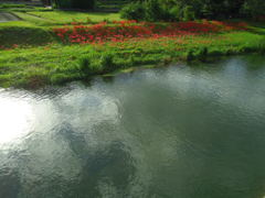 2017/09/18_槻川と彼岸花