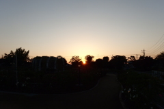 2015/10/18_伊奈バラ園の夕暮れ