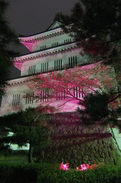 2016/10/10_ピンクリボンの夜の忍城