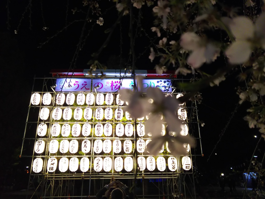 2017/04/03_夜の上野公園