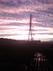 2015/06/27_水田の夕暮れ