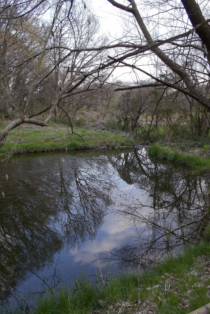 2016/03/26_北本自然観察公園